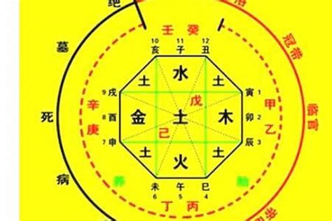 2024生辰八字|生辰八字算命、五行喜用神查询（免费测算）